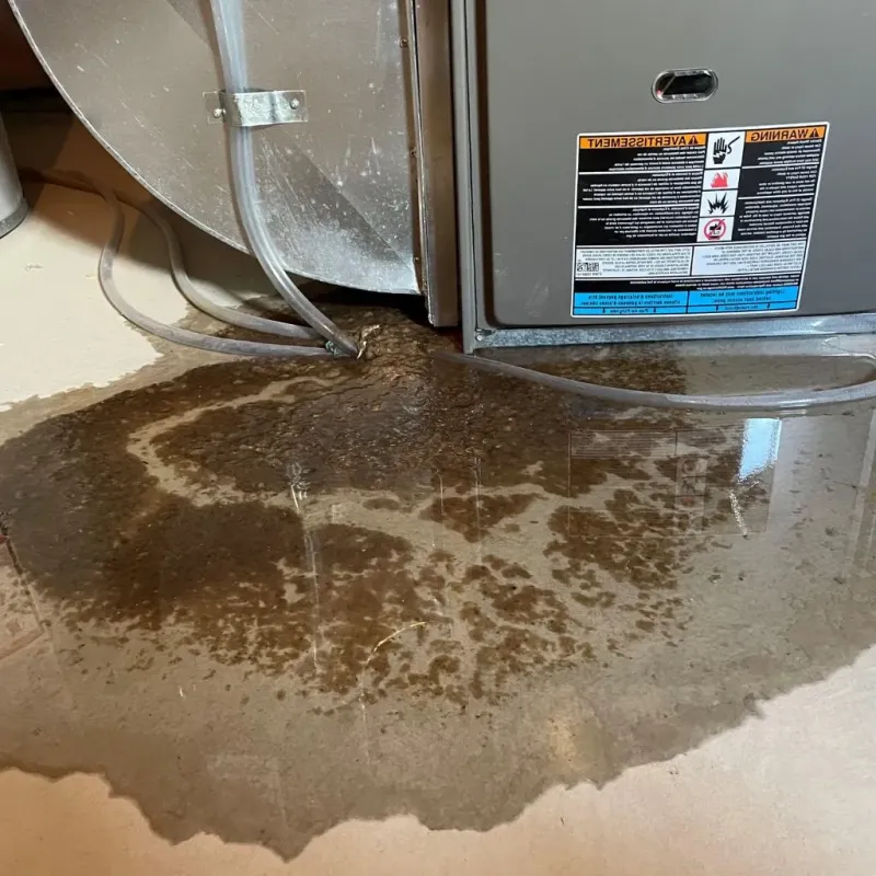 Pipe Burst and Leak Restoration in Cannon Air Force Base, NM